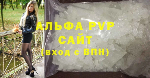 крисы Баксан